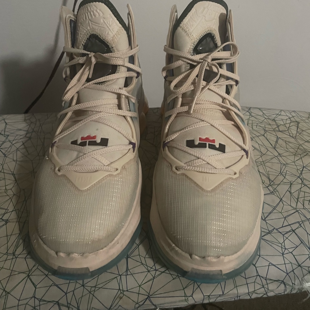 Lebron Xix